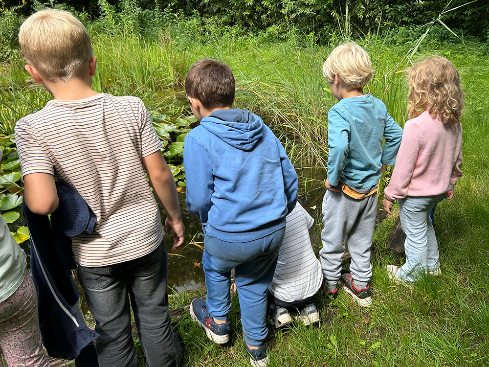 bns Im Wald Juni 2009 GN