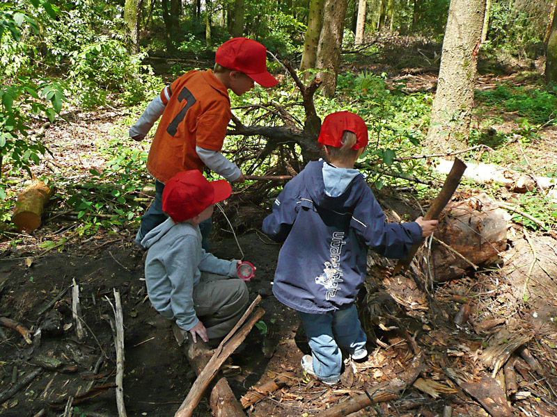 bns Im Wald Juni 2009 GN